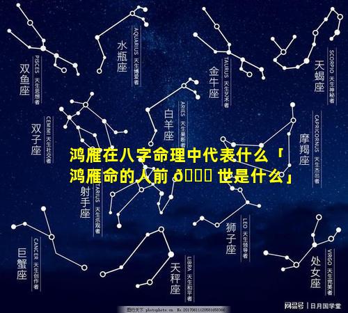 鸿雁在八字命理中代表什么「鸿雁命的人前 🍀 世是什么」